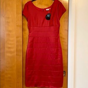 NWT Diviine ModesTee Satin Dress, Pink Watermelon